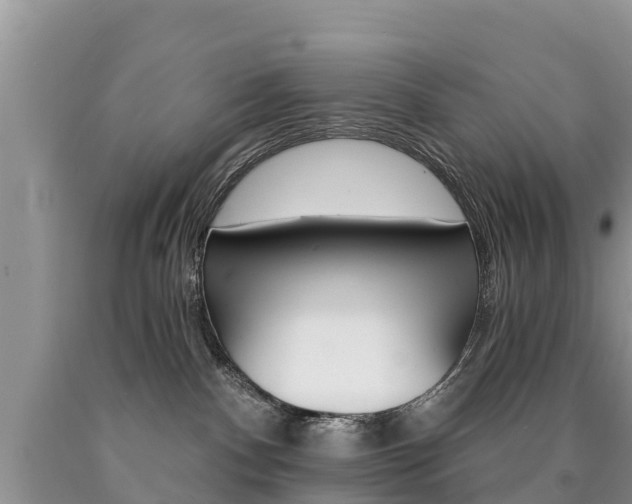 X0000090780140200707201142