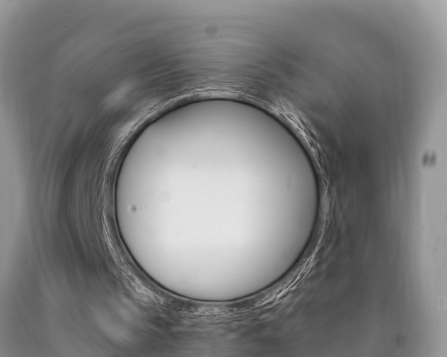 X0000090780145200707201141