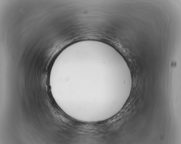 X0000090780146200707201141