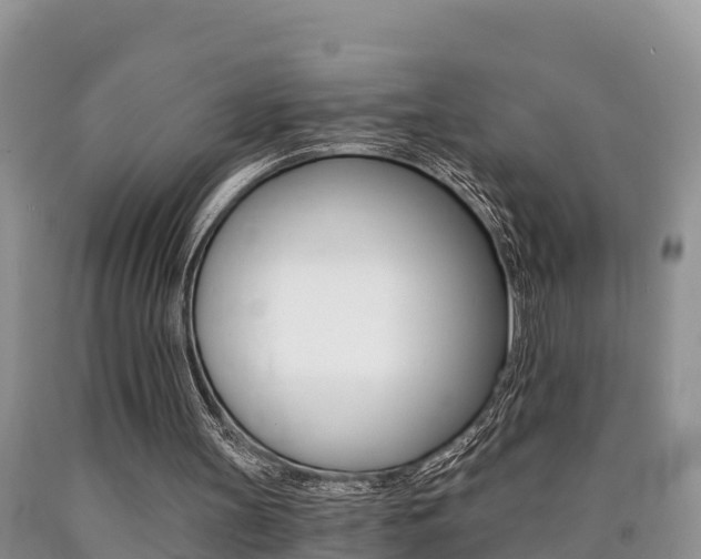 X0000090780147200707201141