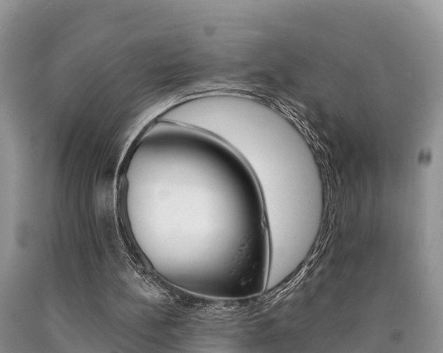 X0000090780148200707201141