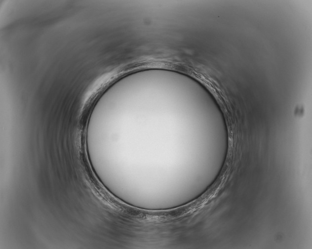 X0000090780149200707201141