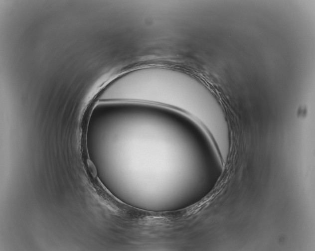 X0000090780150200707201141
