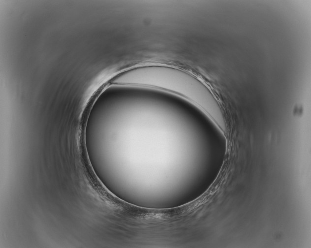 X0000090780152200707201142