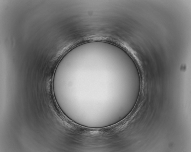 X0000090780153200707201142