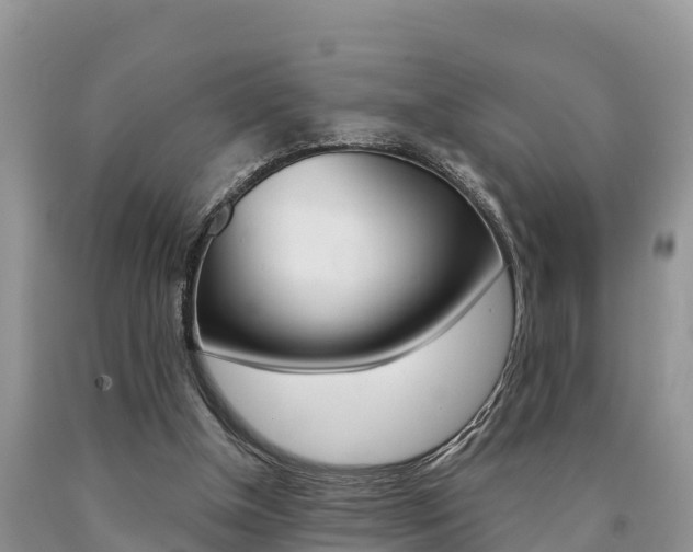 X0000090780154200707201142