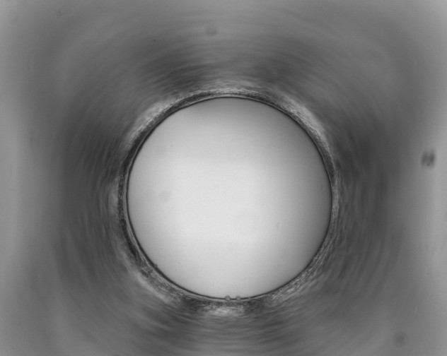X0000090780155200707201142