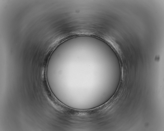 X0000090780157200707201142