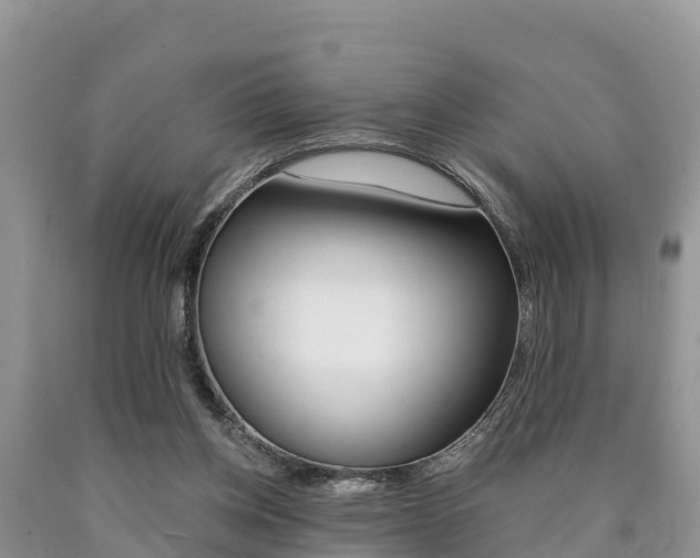 X0000090780158200707201142