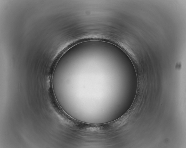 X0000090780160200707201142