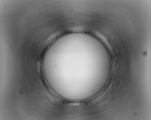 X0000090780161200707201142