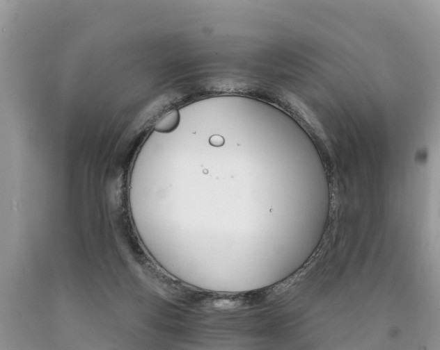 X0000090780163200707201142