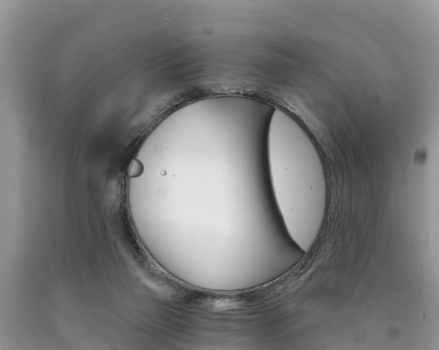 X0000090780165200707201142