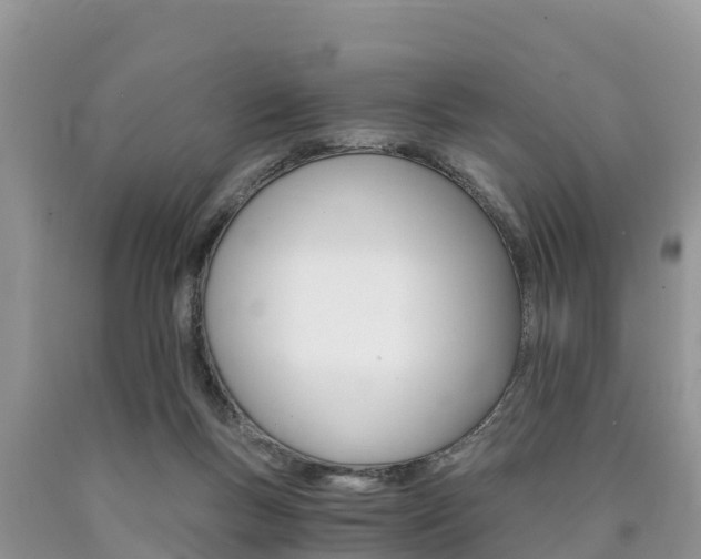 X0000090780167200707201142