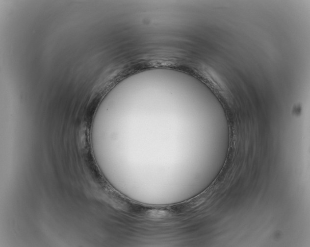 X0000090780169200707201142
