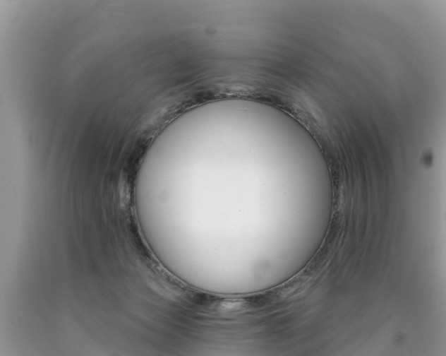 X0000090780173200707201142