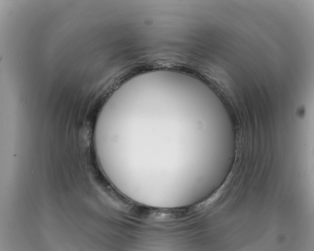 X0000090780174200707201142