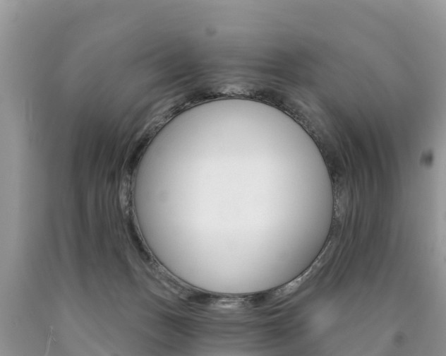 X0000090780175200707201142