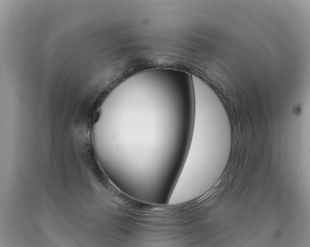 X0000090780176200707201142