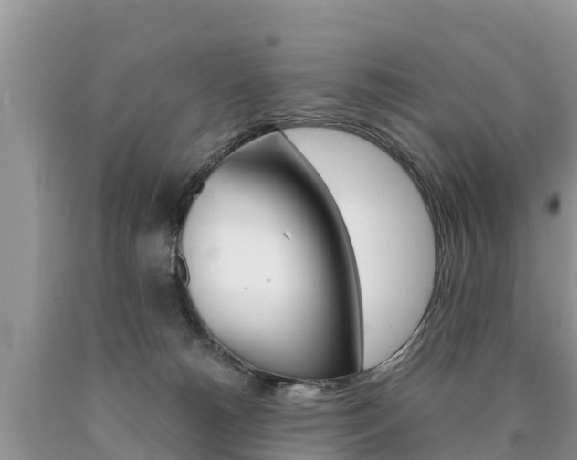 X0000090780180200707201142