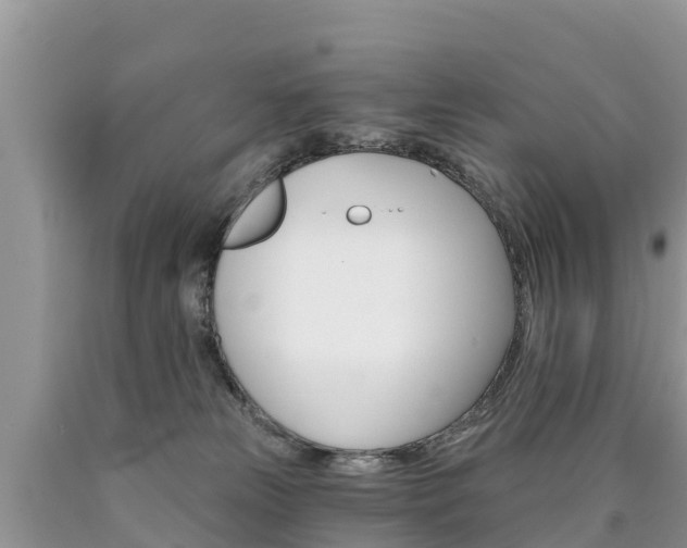 X0000090780181200707201142