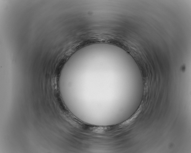 X0000090780182200707201142