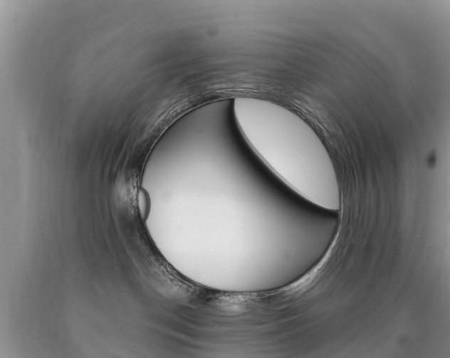 X0000090780190200707201142