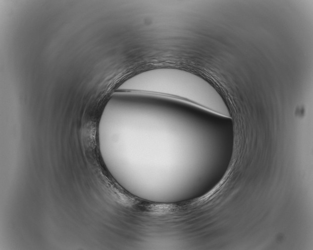 X0000090780192200707201142
