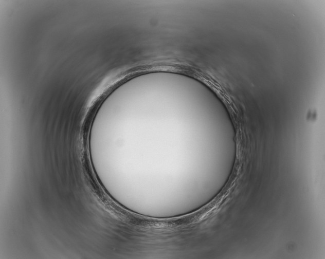 X0000090780198200707201141