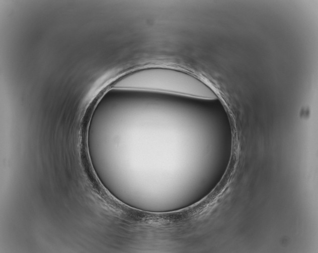 X0000090780199200707201141