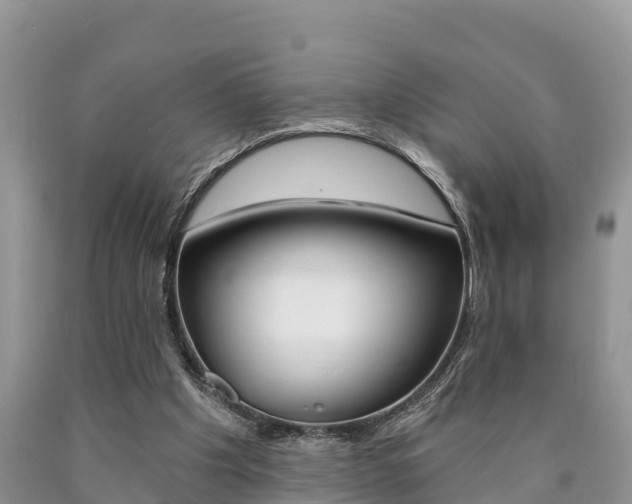 X0000090780201200707201141