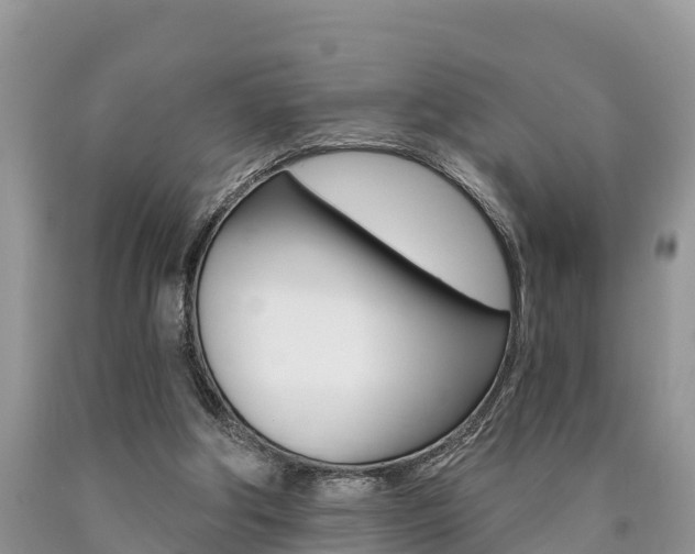 X0000090780202200707201141