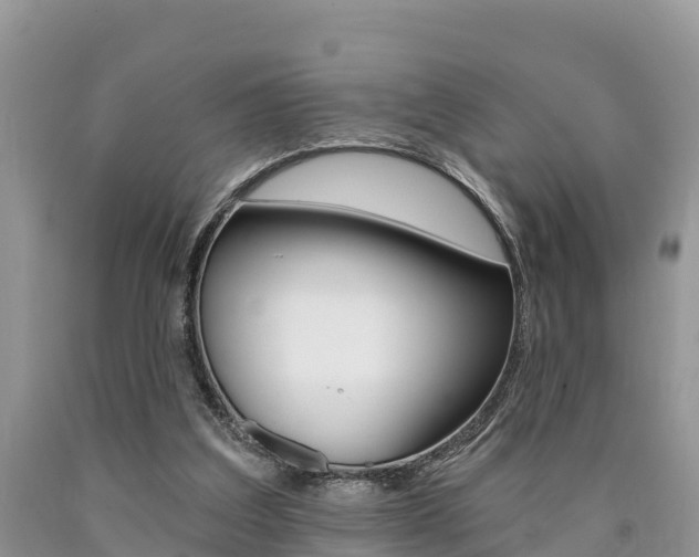X0000090780203200707201141