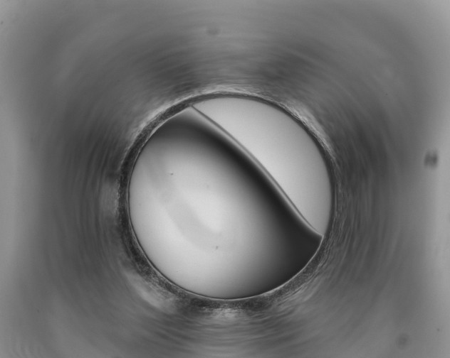 X0000090780204200707201141