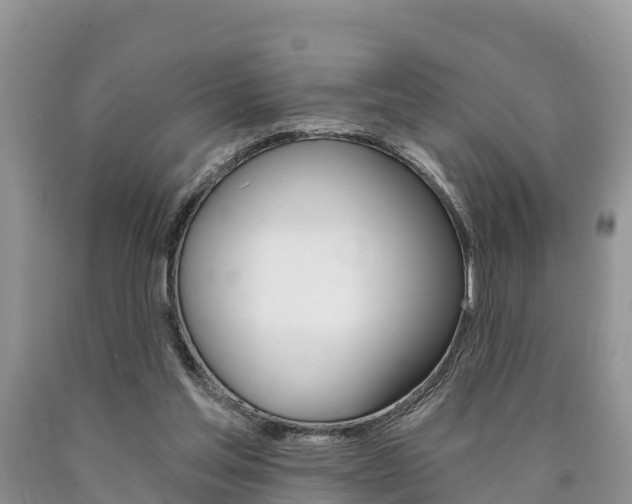 X0000090780205200707201141