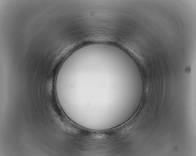X0000090780206200707201141