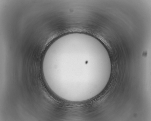 X0000090780207200707201141