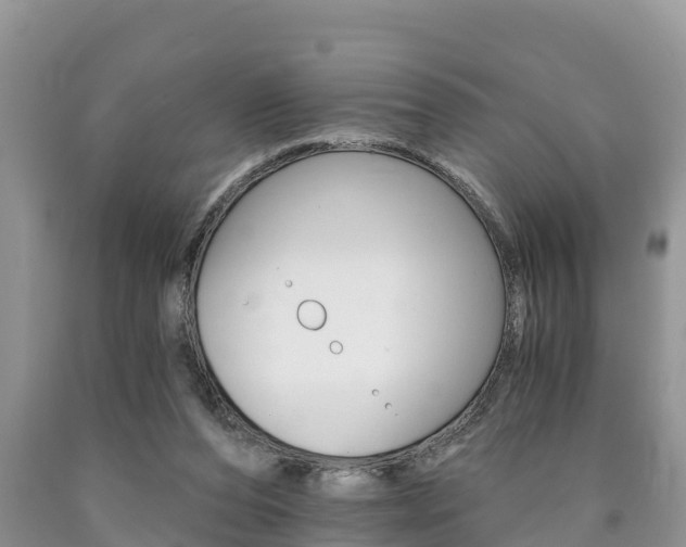 X0000090780208200707201141