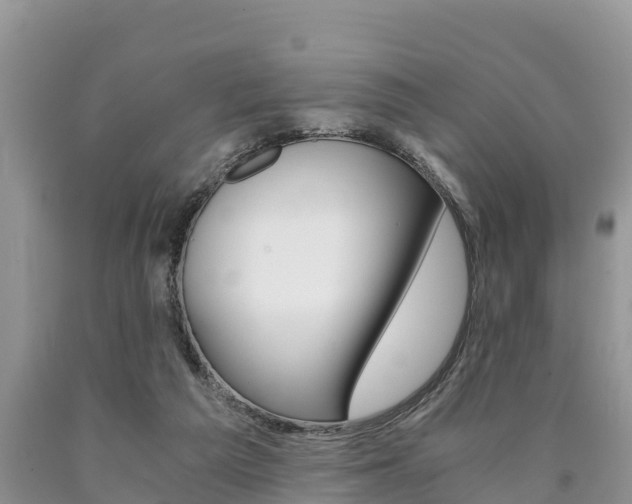 X0000090780209200707201141