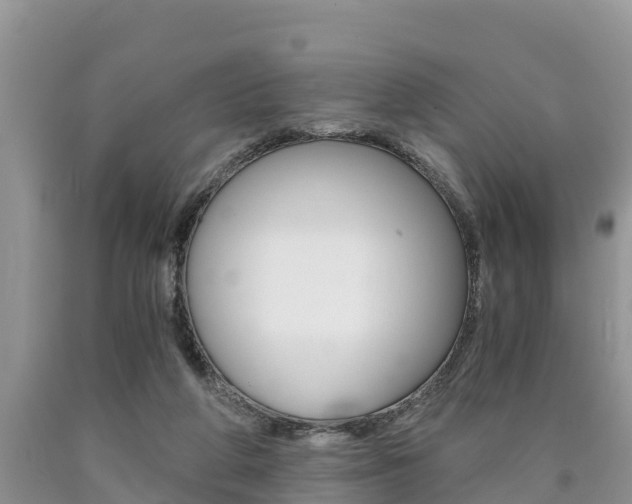 X0000090780210200707201141