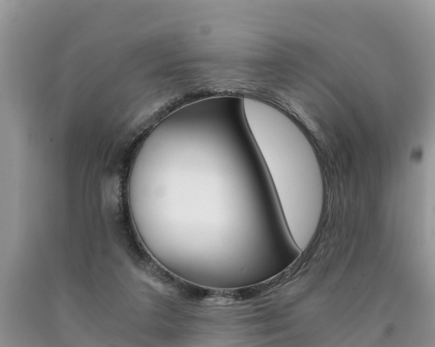 X0000090780211200707201141