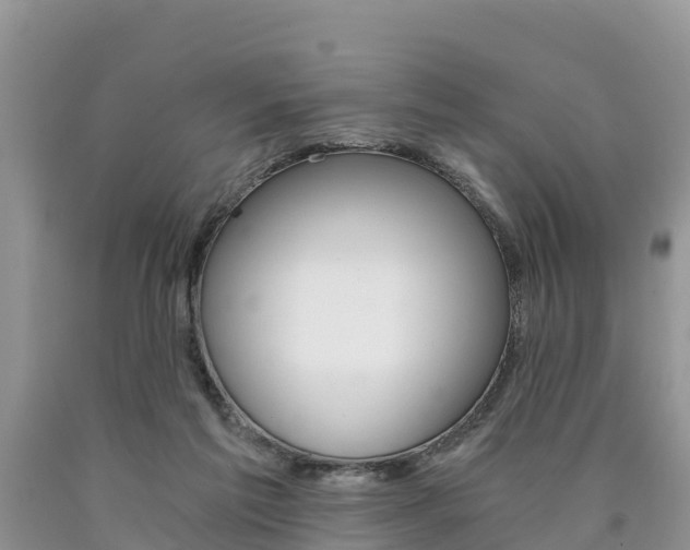 X0000090780213200707201141