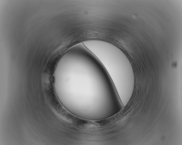 X0000090780215200707201141