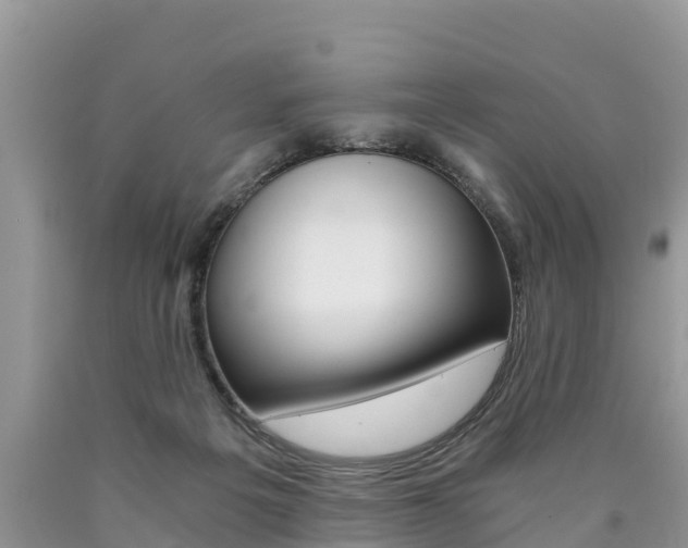 X0000090780217200707201141