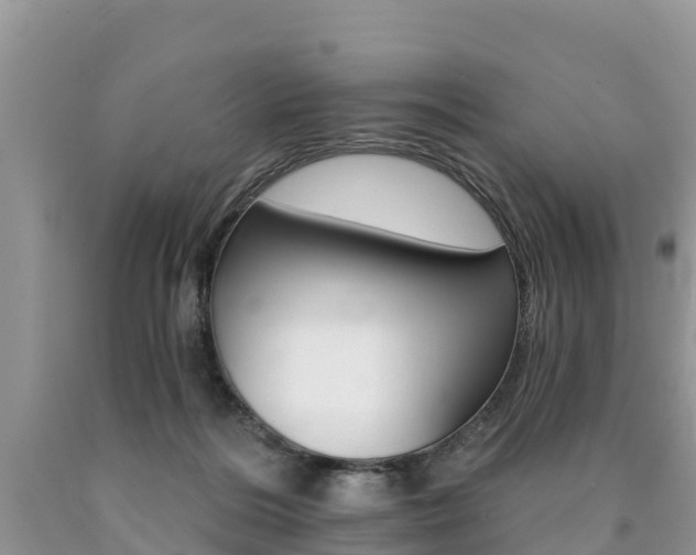 X0000090780220200707201141