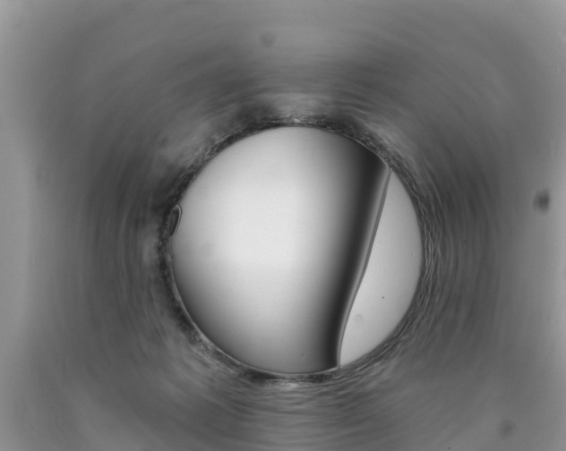 X0000090780221200707201141