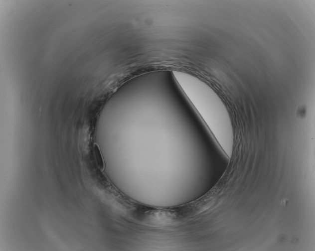 X0000090780223200707201141