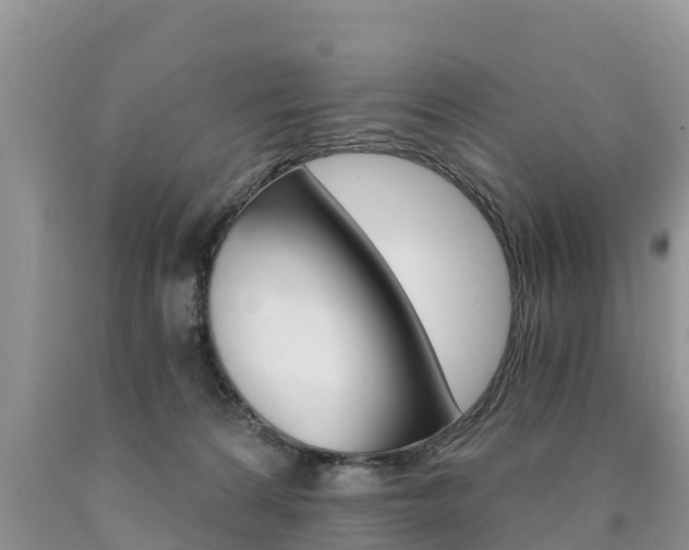 X0000090780224200707201141