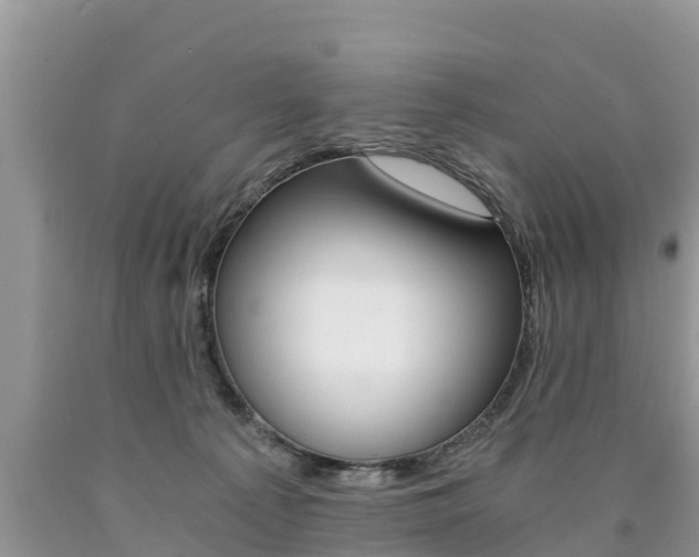 X0000090780225200707201141