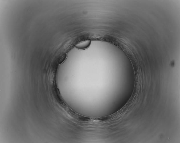 X0000090780227200707201141